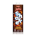 LECHE CHOCOLATADA BAGGIO LV.1L