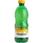 Jugo de limon Minerva x 500 cc.