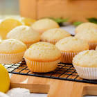 Magdalenas Equisita X250