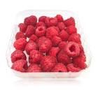 YOG/SANC/C/FRUTAS FRAMBUESA