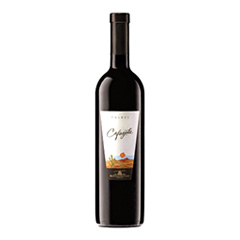 VINO ETCHAR CAFAYATE MALBEC ES