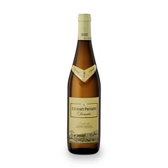 Etchart Privado Torrontes x 750 ml