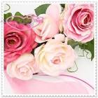 SHA/SEDAL 15/SOS RECONSTR