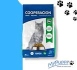 ALIM/GATOS COOPERACION 10 K