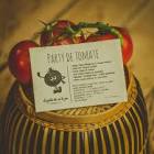 Tomate La Banda 2.55 Kg