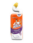 MR.MUSCULO GEL ACTIVO RTO.X36C