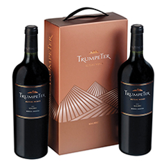 EST TRUMPETER MALBEC X 2 BOTELLA