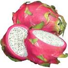 Topline Dragon Fruit x 20