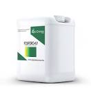 Fosforos gran fragata