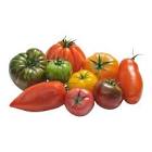 TOMATES TRIT. GENTLEMAN 500G