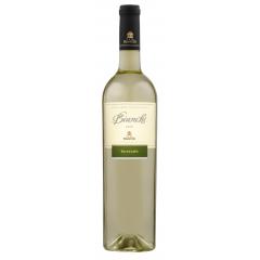 VINO BIANCHI TORRONTES