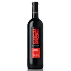 VINO SANTA ANA RUMBOS CAB.SUAV. 750CC