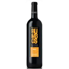 VINO SANTA ANA RUMBOS MALBEC 750CC