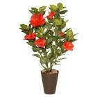 JAB.DUC 2X125GR.HIBISCUS/VAINI