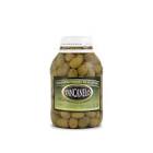 Aceitunas Yancanelo X100G