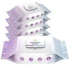 Toallitas Húmedas Antibacteriales Adultos Life Quality Flow x40Un