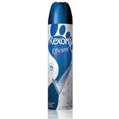 Desodorante Efficient Aerosol x 102 Gr.