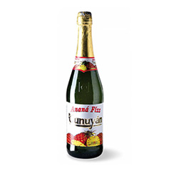 Anana Fizz Tunuyan 710 Cc