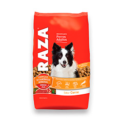 ALIM PERRO RAZA ADULTO CARNE 3