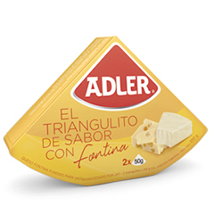 QUESO UNT/ADLER FONTINA 100 GR