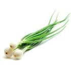 CEBOLLITAS en vinagre x190g