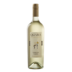 VINO QUARA TORRONTES