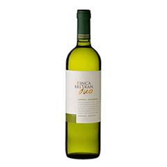 VINO FINCA BELTRAN DUO CHENIN