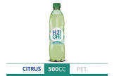 AGUA SABOR.H20!CITRUS X500CC
