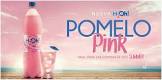 Agua Saborizada H2Oh Pomelo Pink C/Gas 500 Ml