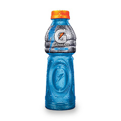 GATORADE PET 500 CC.