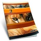 cuadernos America x24 hojas