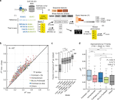 CUADERNO DE 48 HOJAS T.FLEXIBLE