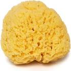 Broomy Esponja Anat/Oval P/Bañ