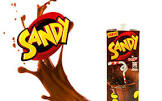 Leche Chocolatada Sandy X200
