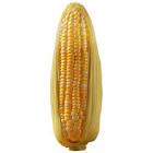 La Despensa Har Maiz 1Kg.