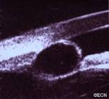 Sist.Color/Issue/726