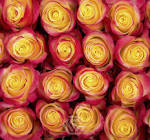 Grandiosas Merengue 90g