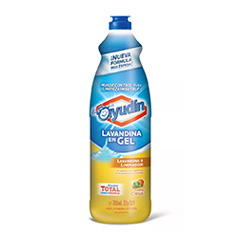 LAVANDINA EN GEL AYUDIN CITRUS 700 ML