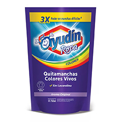 AYUDIN QUITAMANCHAS R.COLOR DY 750ML