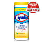 ayudin toallitas desinfectantes 