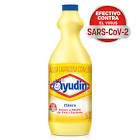 lavandina ayudin clasica litro