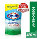 Limp.Inod.Ayudin X 500 Gel Rep