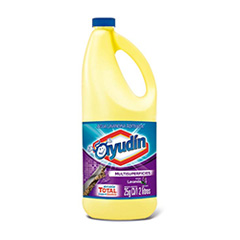 LAVANDINA AYUDIN FLORES DE LAVANDA 2 LT