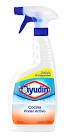 limpiador liquido Ayudin Cocina 250 Cc.