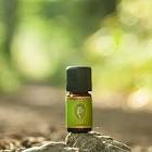   Difusor Primavera Intense Full Poett 9 Gr 