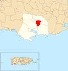 Valerina Busgran X 3