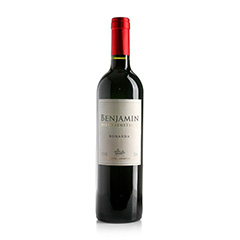 VINO BENJAMIN NIETO BONARDA 750CC