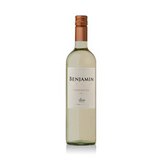 VINO BENJAMIN NIETO TORRONTES