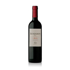 BENJAMIN NIETO NATUR. MALBEC T.SYRAH 750CC