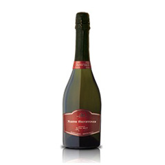 Champagne Nieto Senetiner Extra Brut.